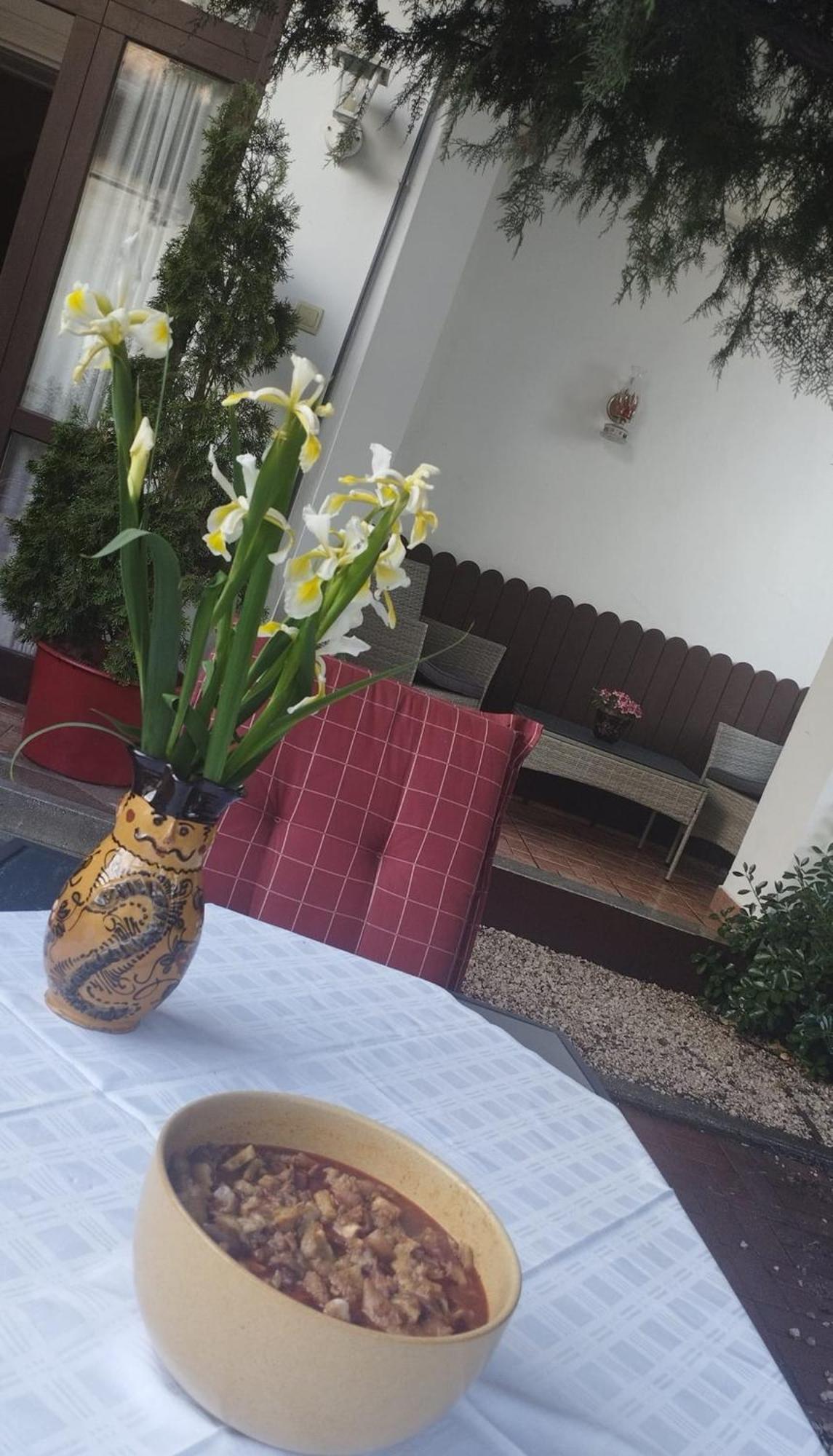 Erzsebet Vendeghaz Es Apartman Hajdúszoboszló المظهر الخارجي الصورة